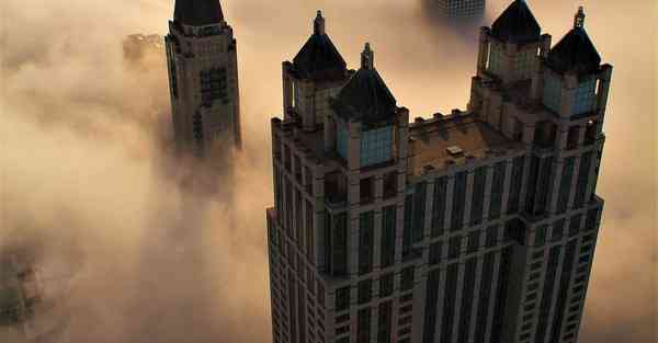 外国语单招大数据的行业文章