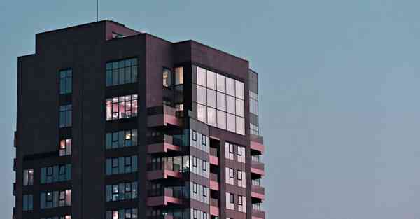 芈月传中的大数据