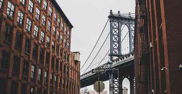 外国语单招大数据的行业文章