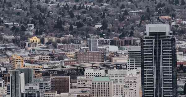 金融大数据的数据特点（金融大数据的数据特点是什么）