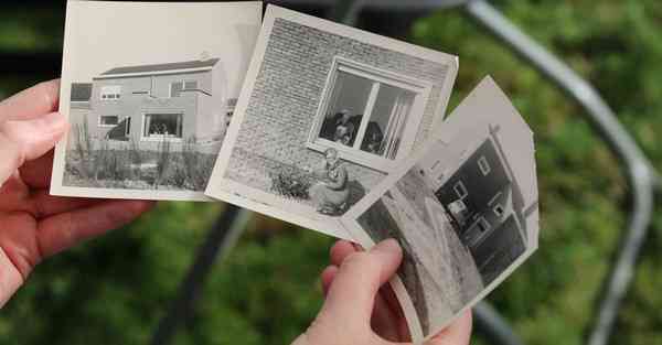 大数据监管的作用（监管大数据应用）