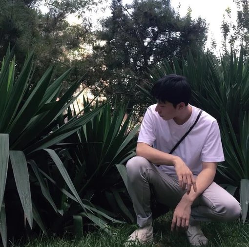 诸葛梅韦维