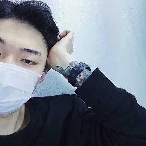 支晴蕊艳