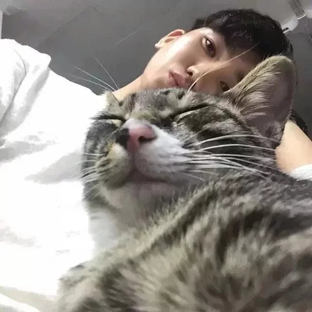 燕寒艺莺